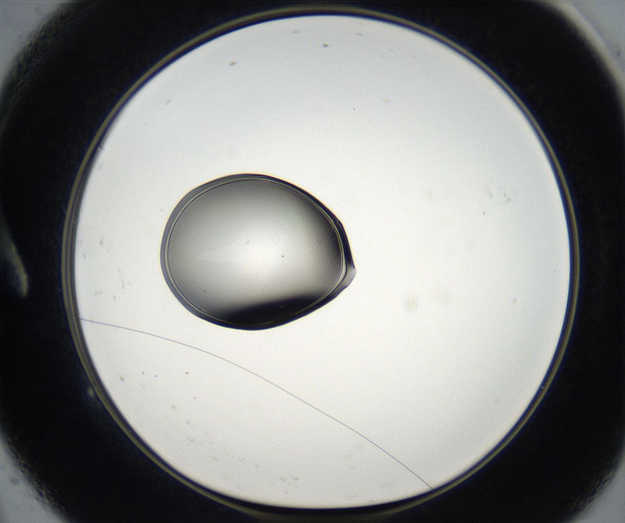 folderID67_plateID2067_batchID9495_wellNum9_profileID1_d1_r141566_ef.jpg