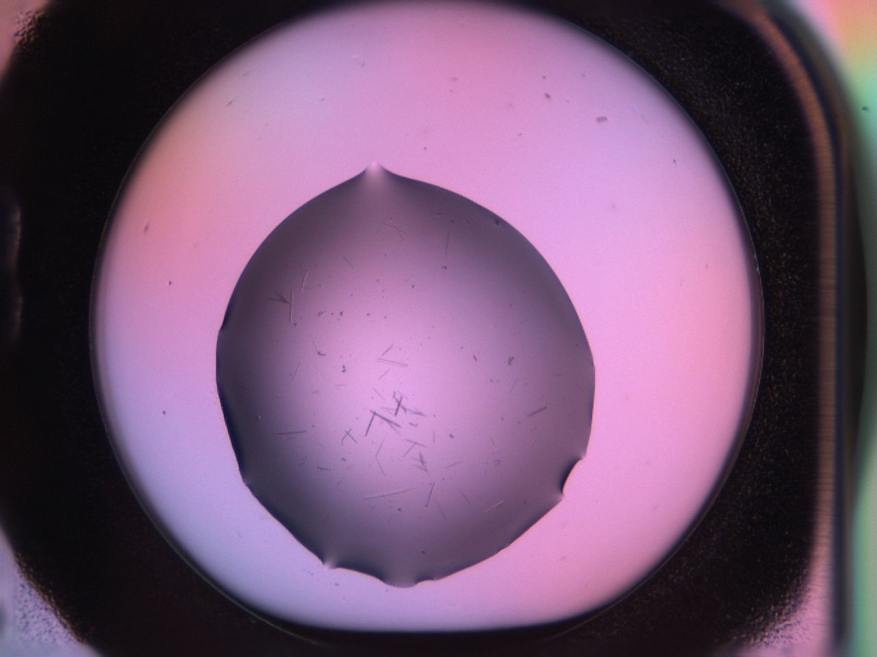 03om_B5_ImagerDefaults_6.jpg