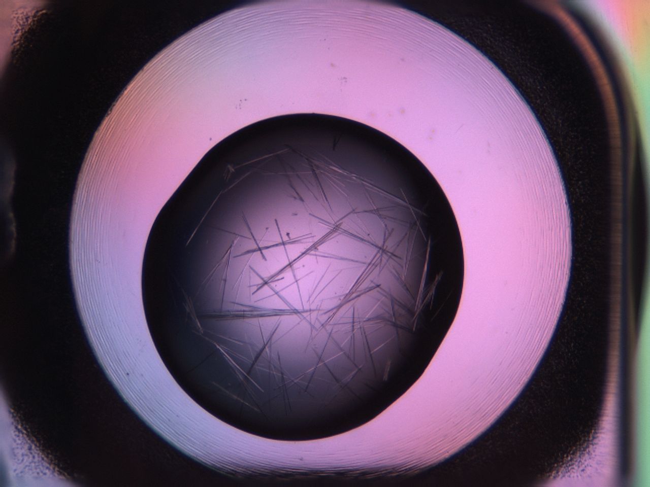 03om_B8_ImagerDefaults_8.jpg