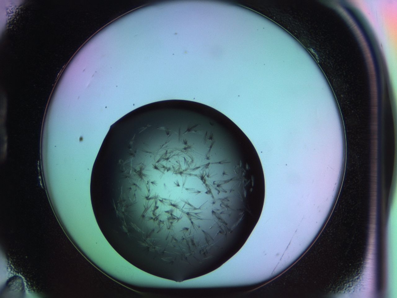 03om_B11_ImagerDefaults_6.jpg