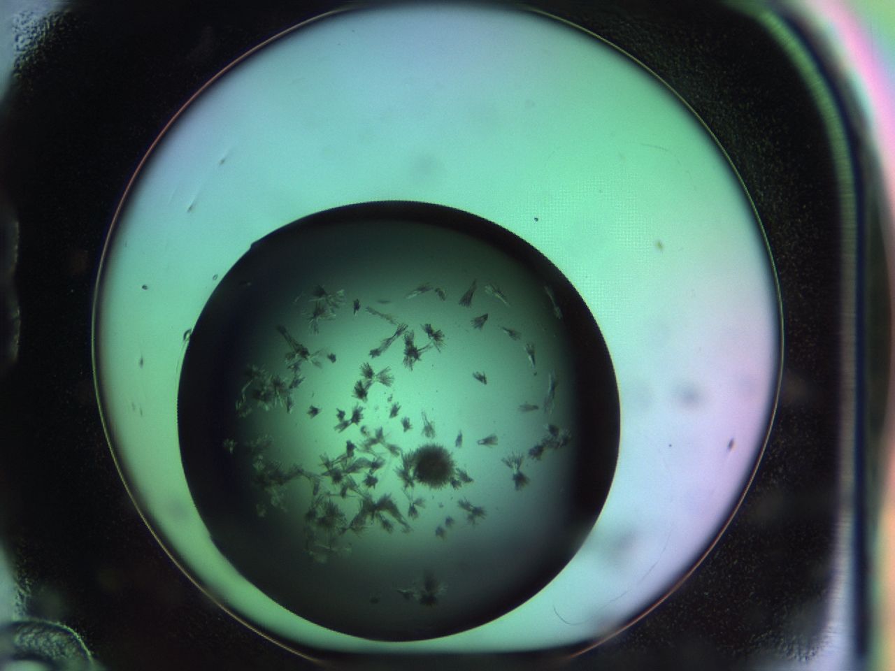 03om_B12_ImagerDefaults_6.jpg