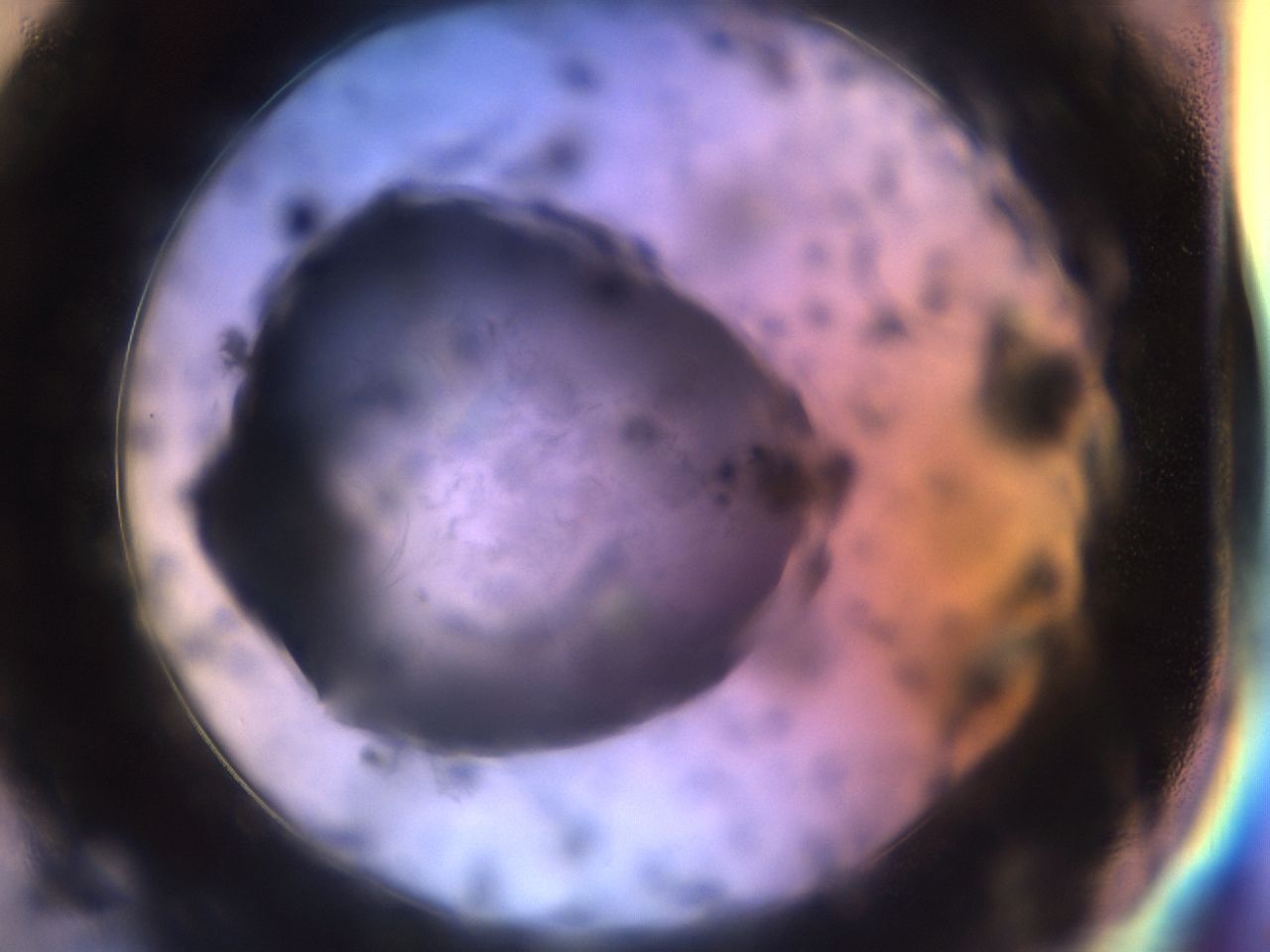 03om_C1_ImagerDefaults_6.jpg