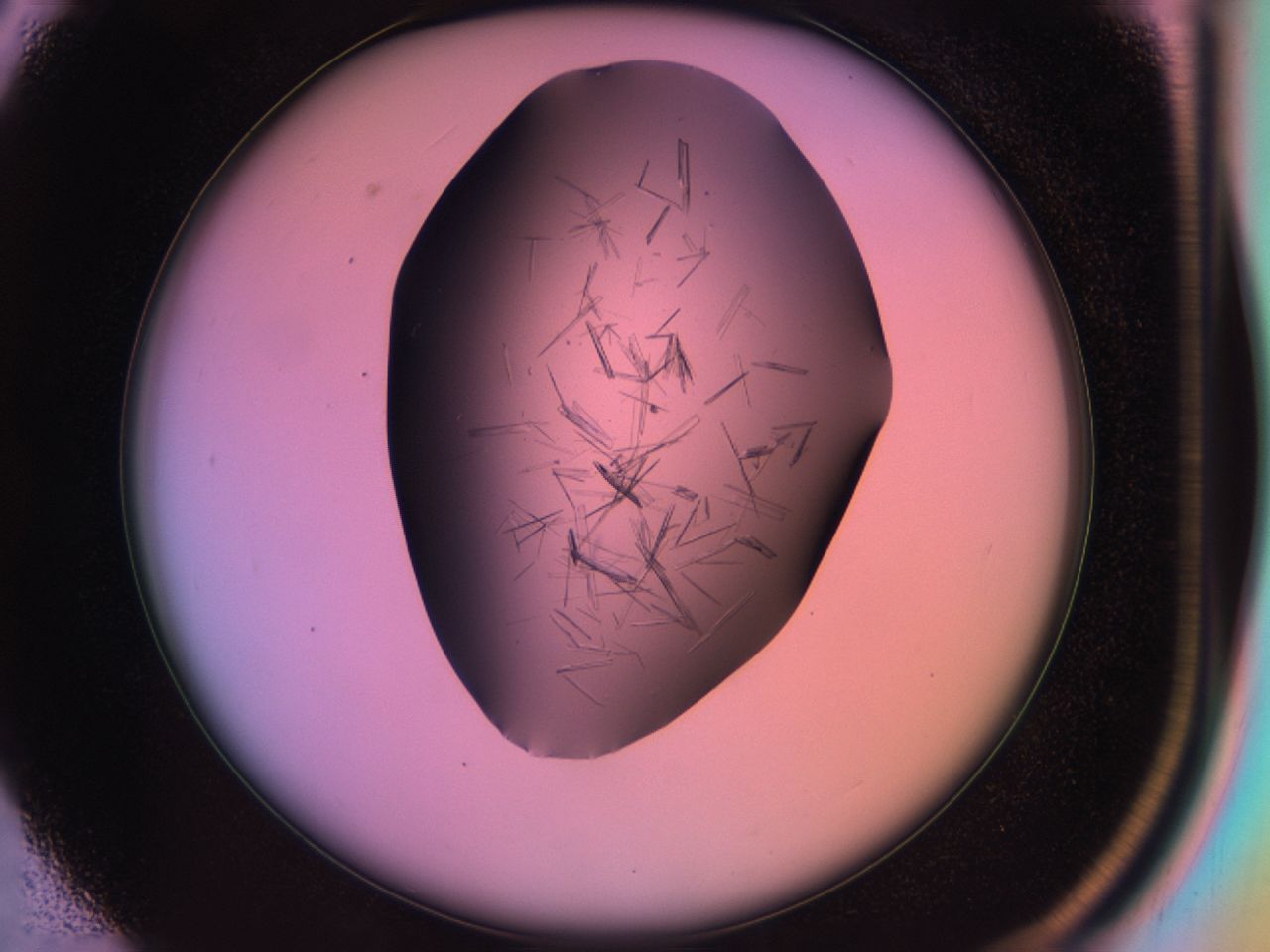 03om_C3_ImagerDefaults_6.jpg