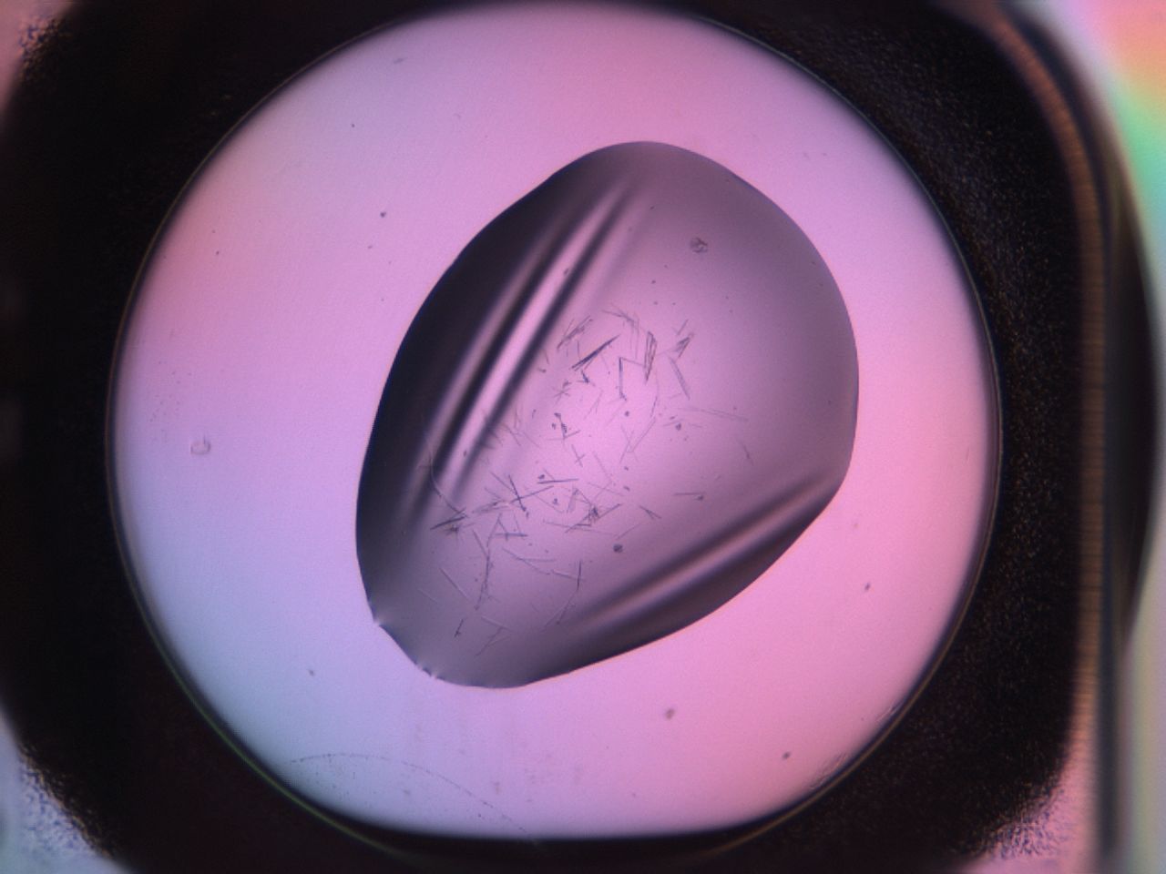 03om_C5_ImagerDefaults_6.jpg