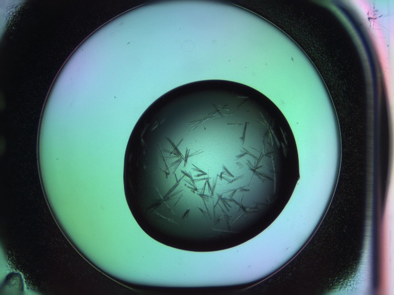 03om_C11_ImagerDefaults_7.jpg