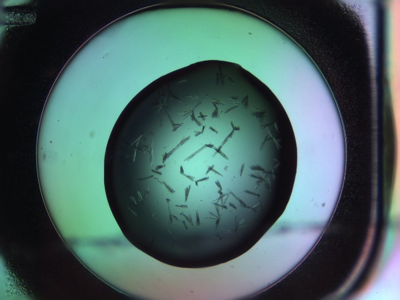 03om_C12_ImagerDefaults_7.jpg