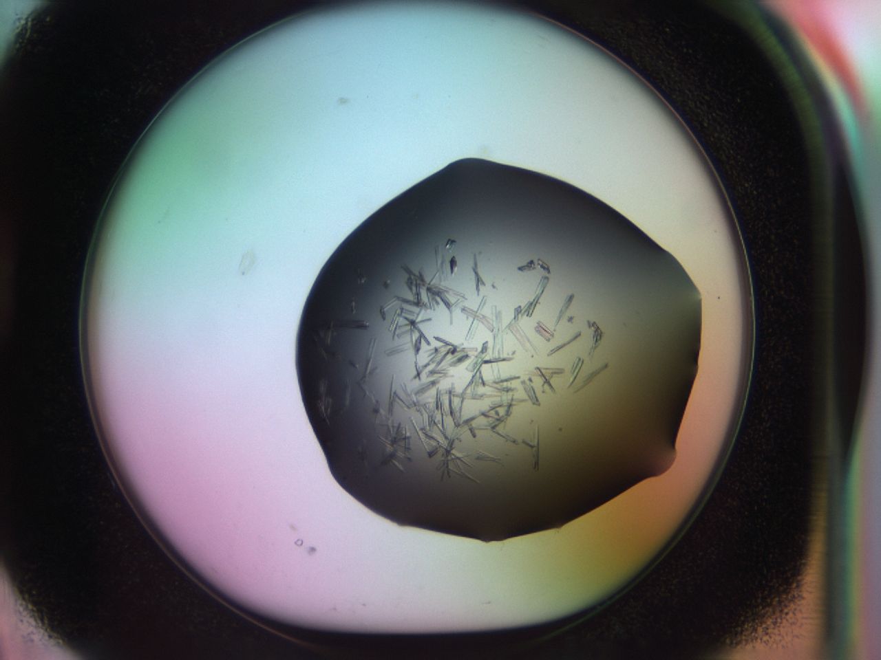 03om_D2_ImagerDefaults_6.jpg
