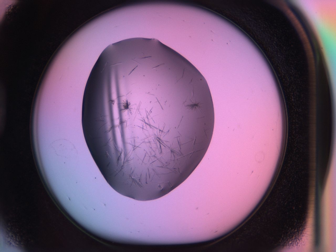 03om_D5_ImagerDefaults_6.jpg