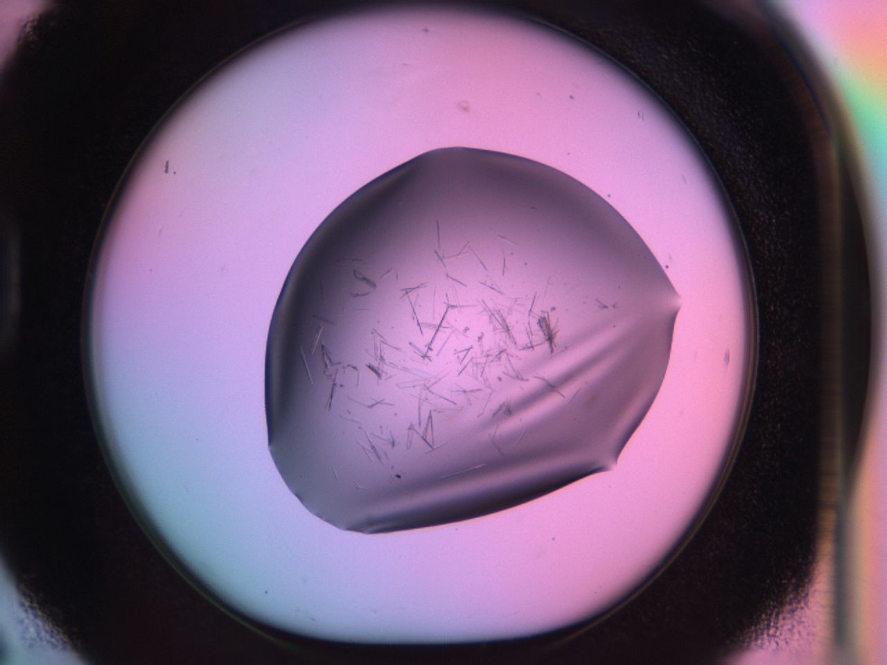 03om_D6_ImagerDefaults_6.jpg