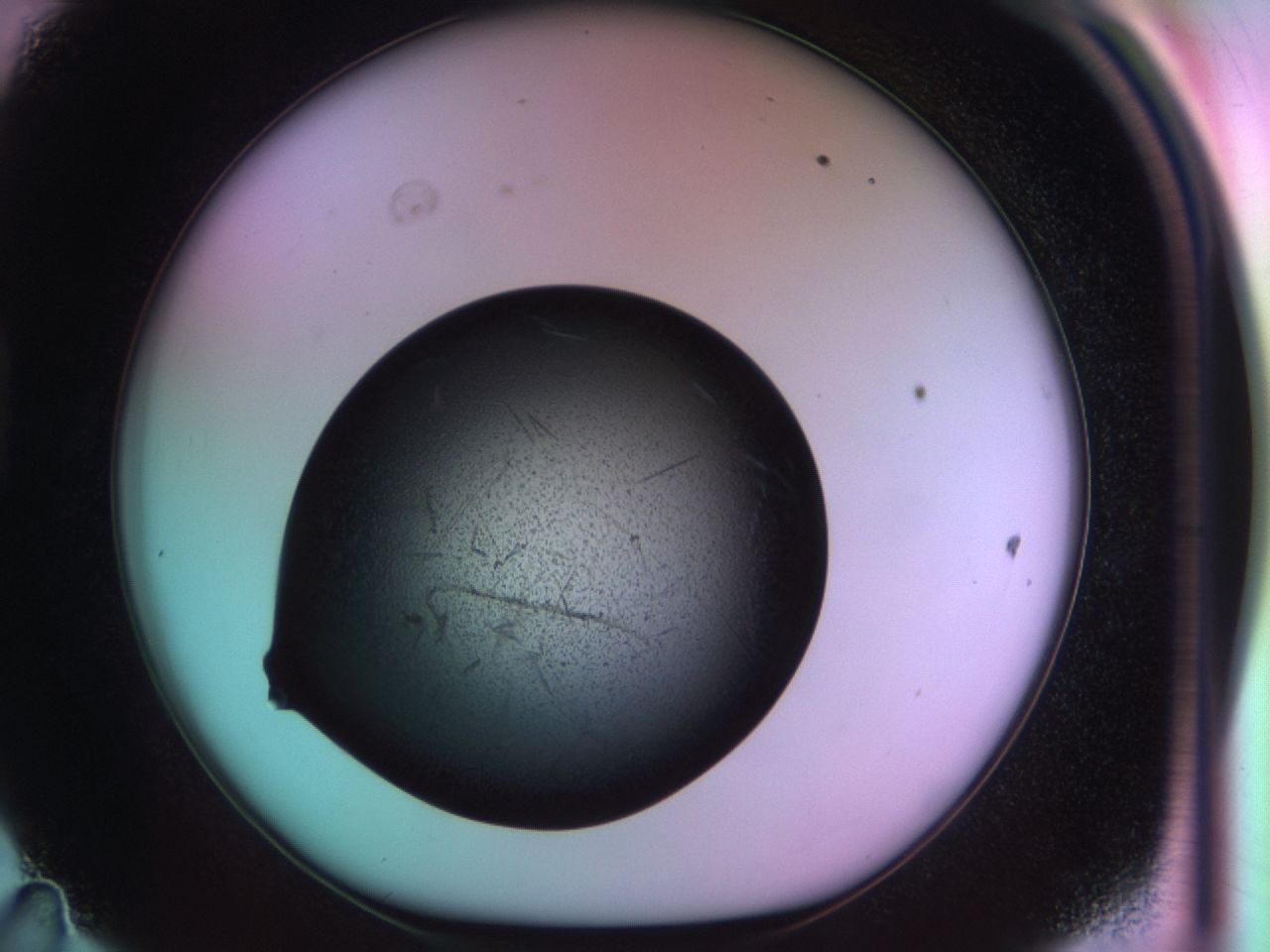 03om_D11_ImagerDefaults_6.jpg