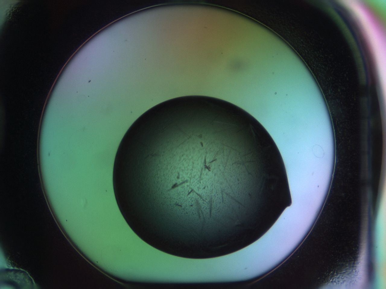 03om_D12_ImagerDefaults_7.jpg