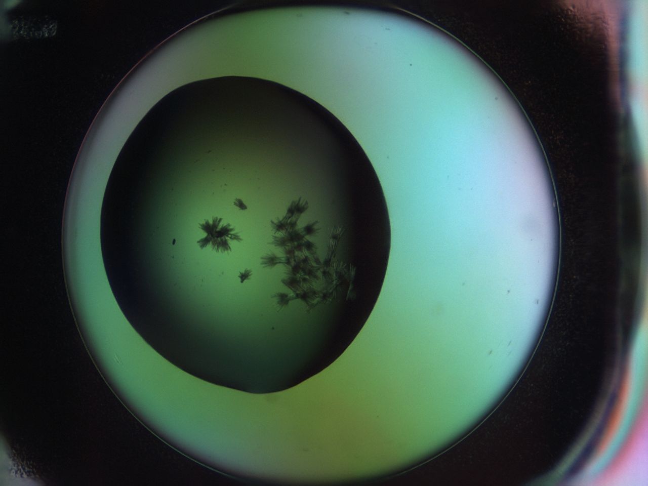 03om_E12_ImagerDefaults_6.jpg