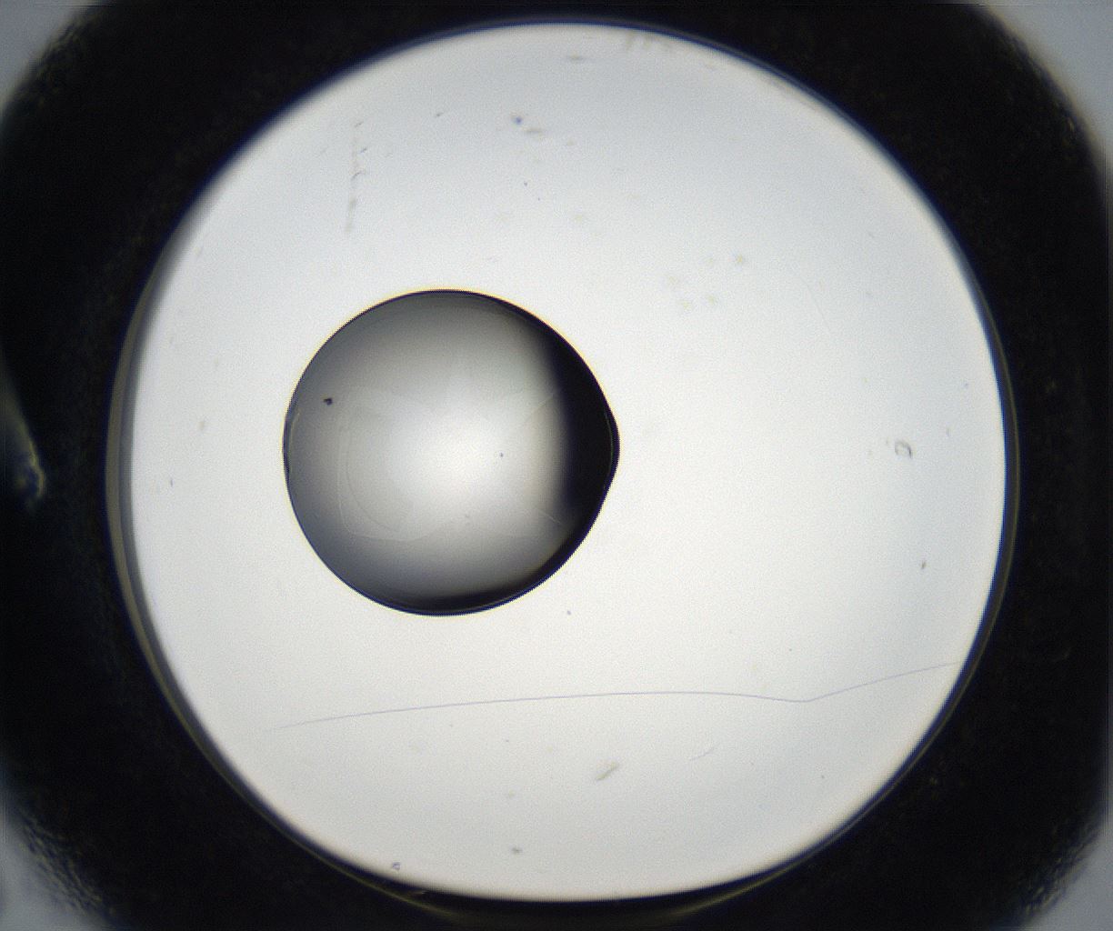 folderID68_plateID2068_batchID9498_wellNum6_profileID1_d1_r141944_ef.jpg