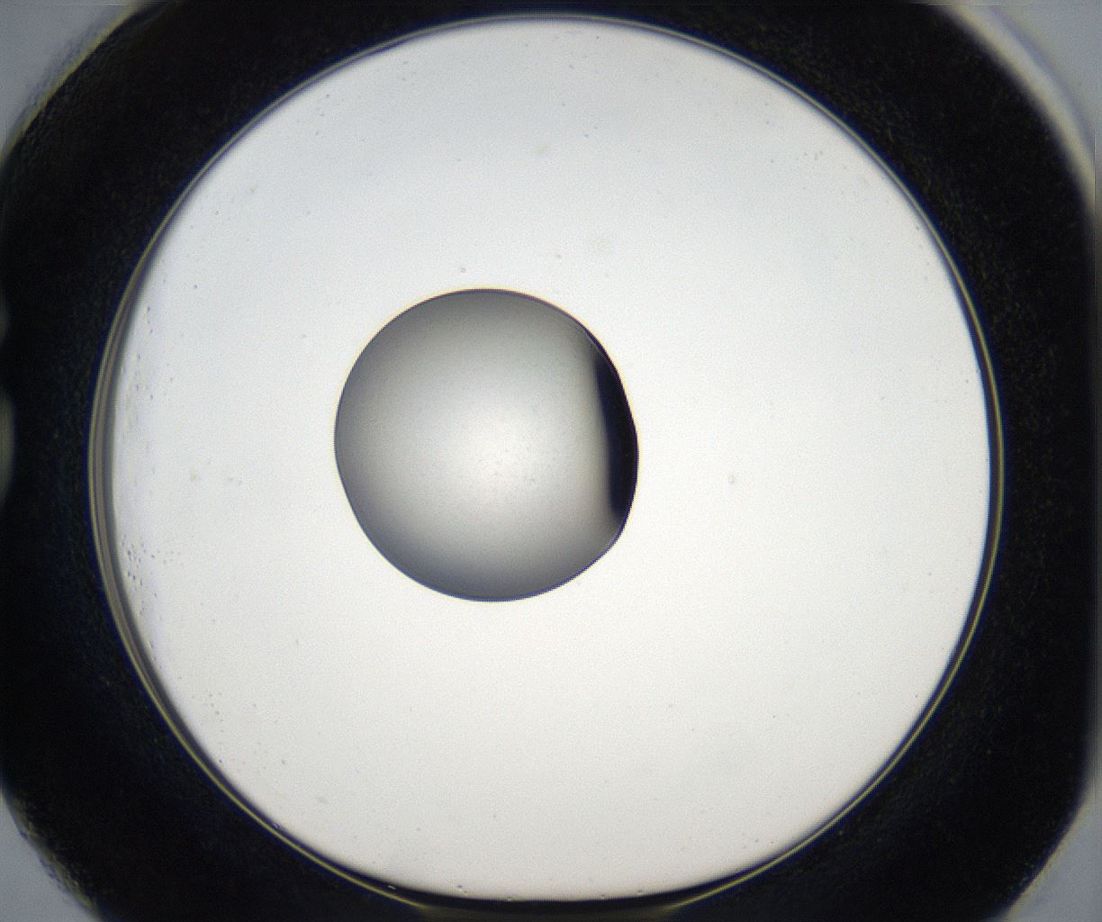 folderID68_plateID2068_batchID9498_wellNum73_profileID1_d1_r142078_ef.jpg