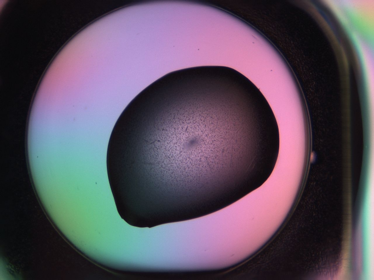 03om_F4_ImagerDefaults_6.jpg