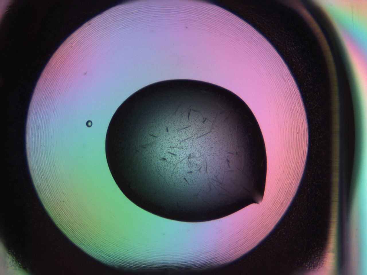 03om_F5_ImagerDefaults_7.jpg