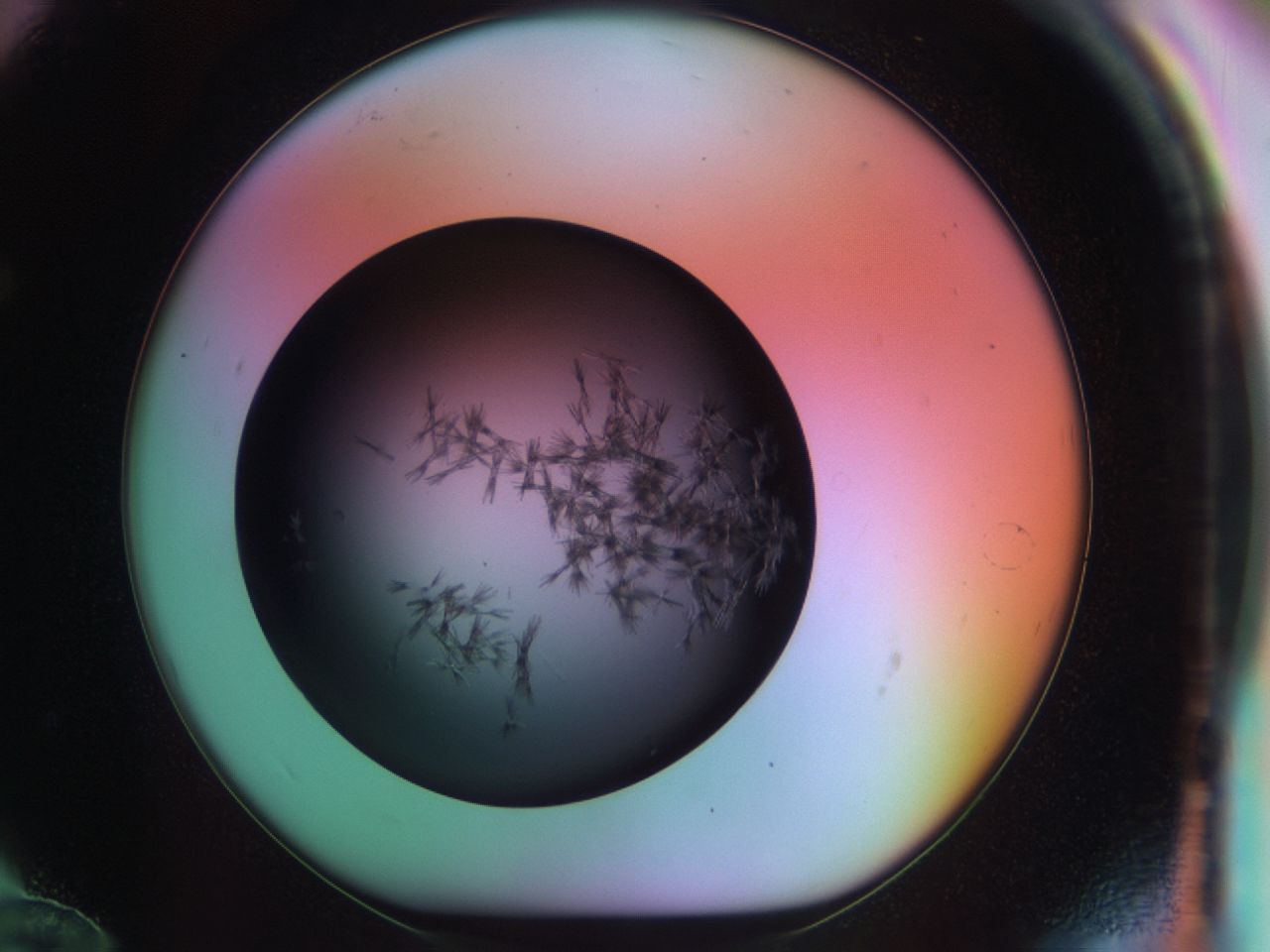 03om_F12_ImagerDefaults_6.jpg