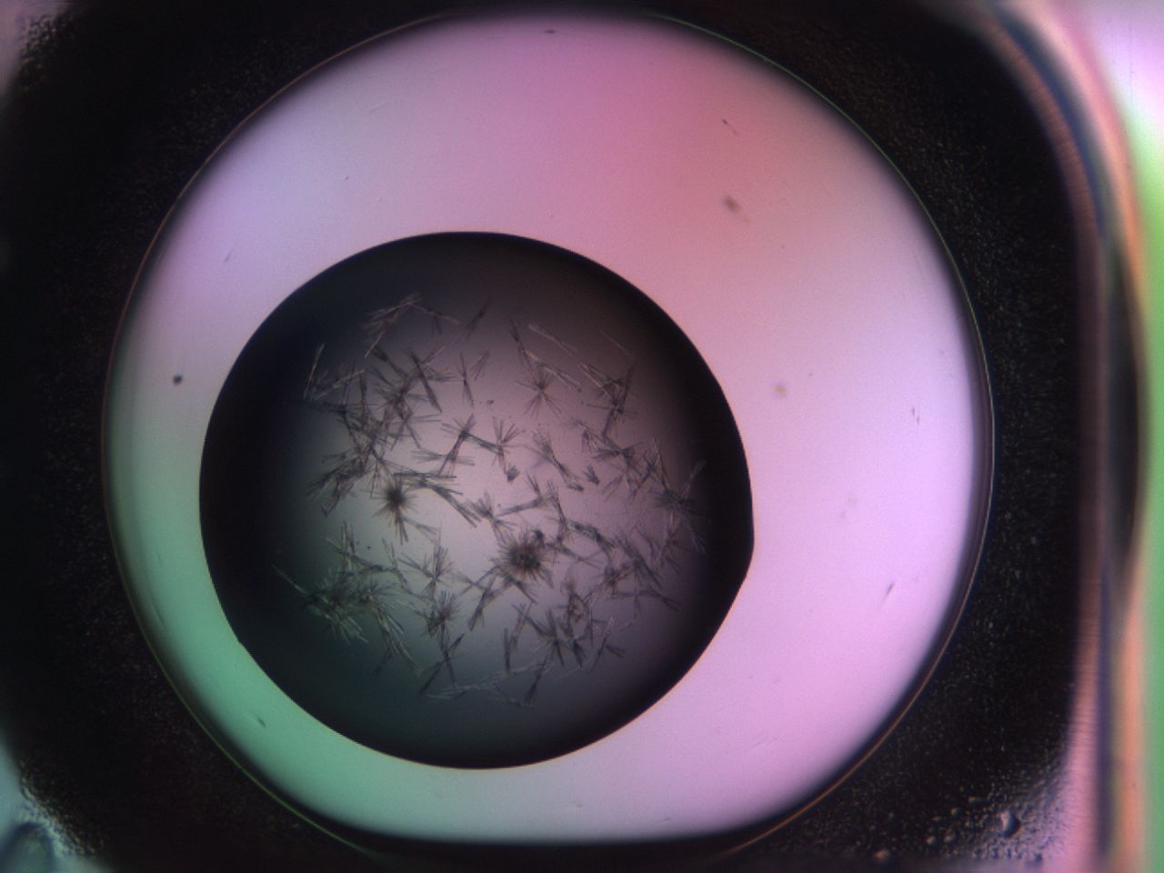 03om_E11_ImagerDefaults_6.jpg