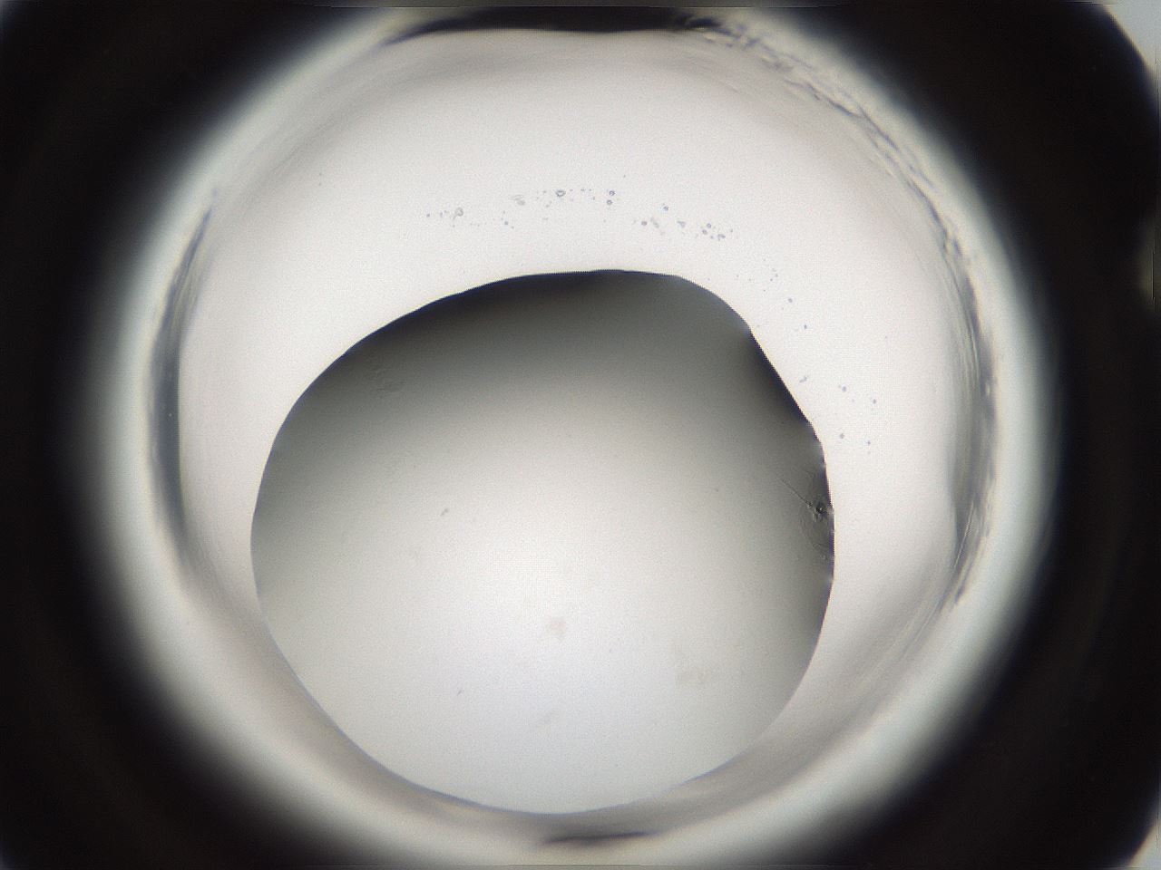 folderID696_plateID1696_batchID7042_wellNum73_profileID1_d2_r112704_ef.jpg