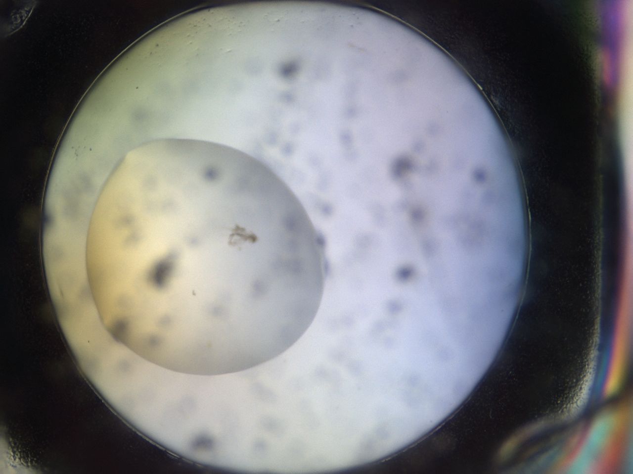 03om_H10_ImagerDefaults_6.jpg