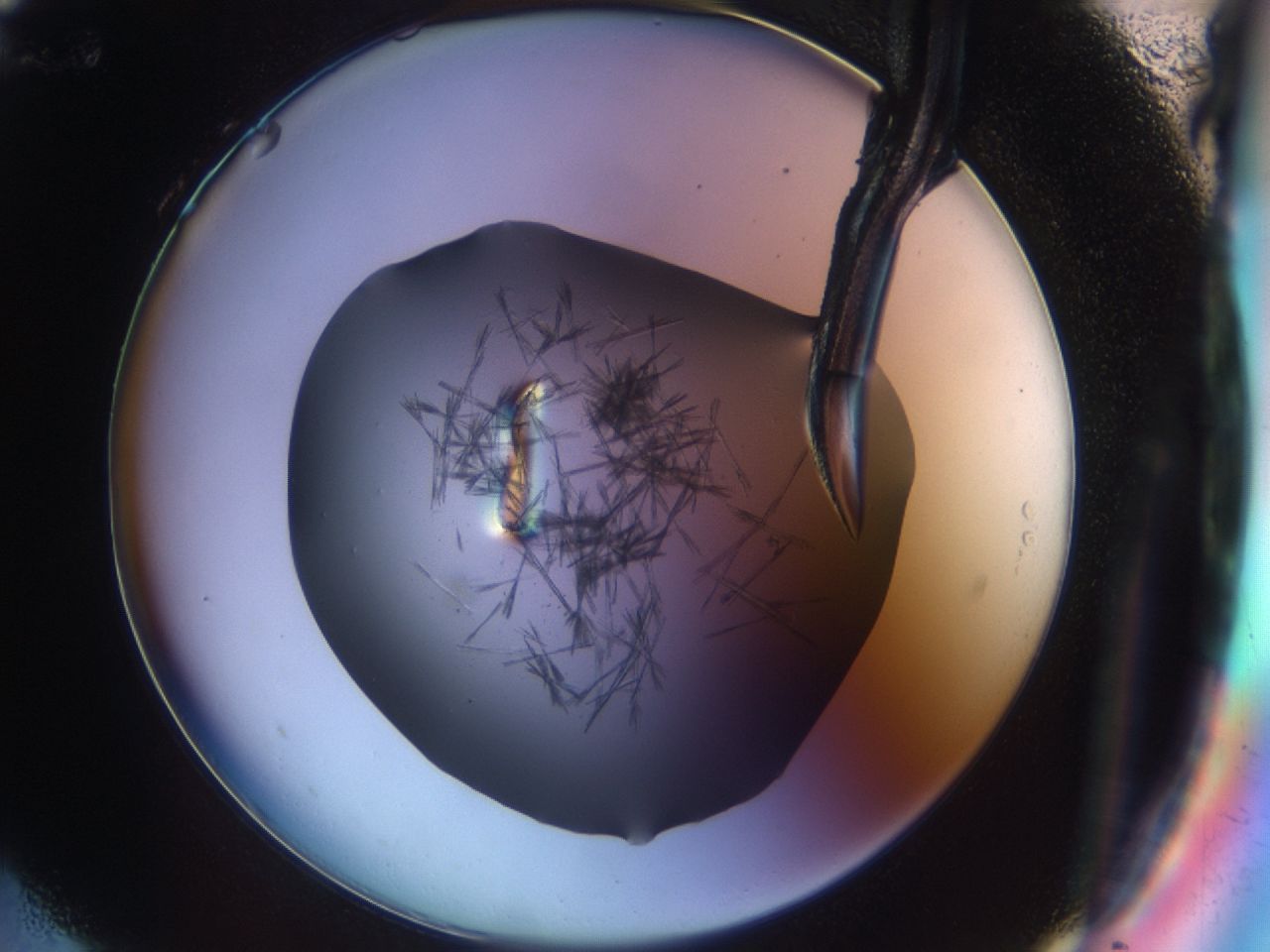 03om_H12_ImagerDefaults_7.jpg