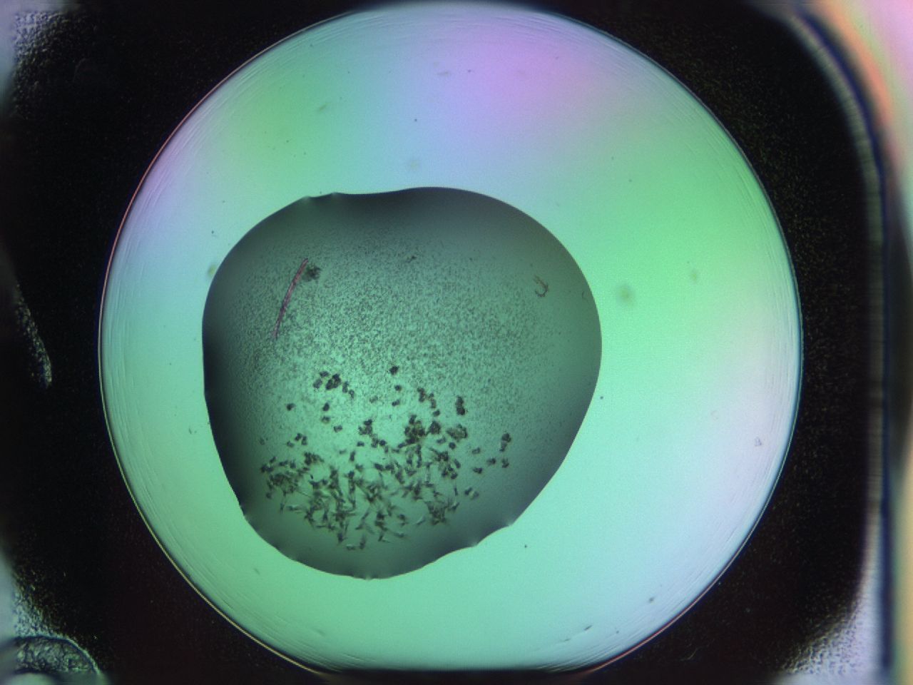 03on_A12_ImagerDefaults_6.jpg