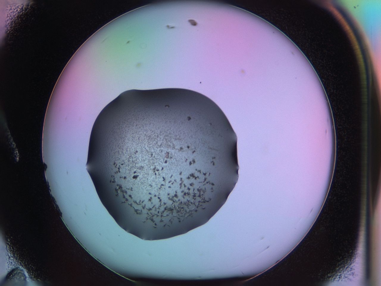 03on_A11_ImagerDefaults_6.jpg