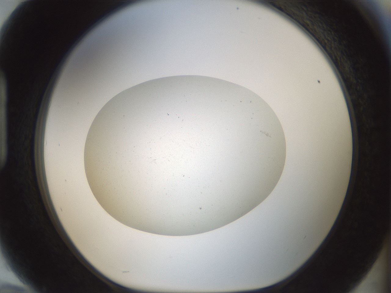 folderID699_plateID2699_batchID14114_wellNum94_profileID1_d1_r220456_ef.jpg