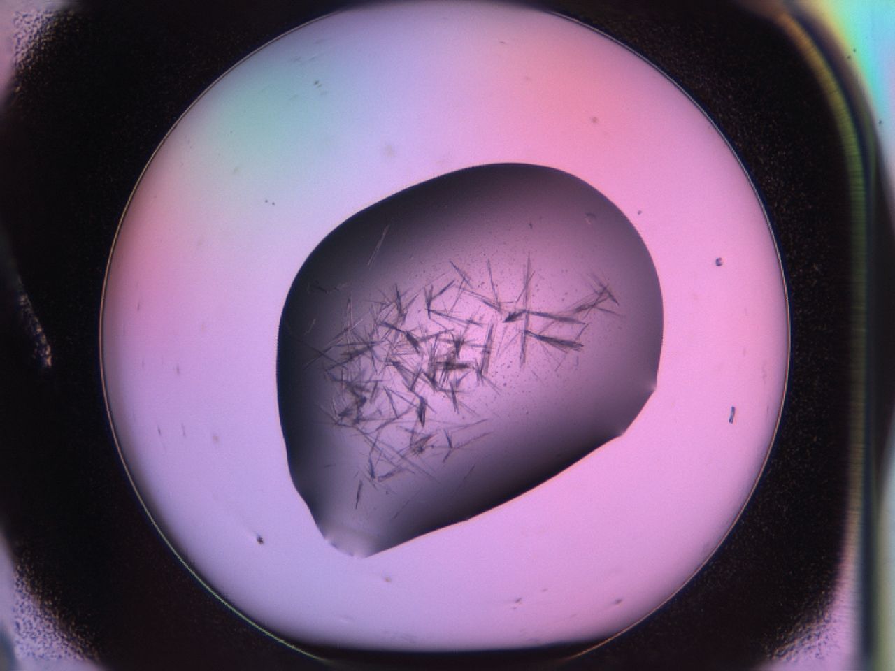 03on_A8_ImagerDefaults_6.jpg