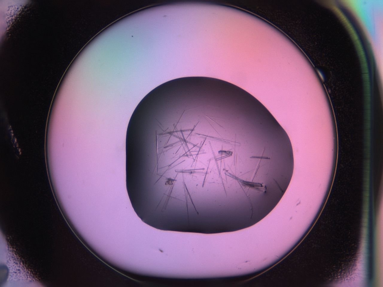 03on_A7_ImagerDefaults_7.jpg
