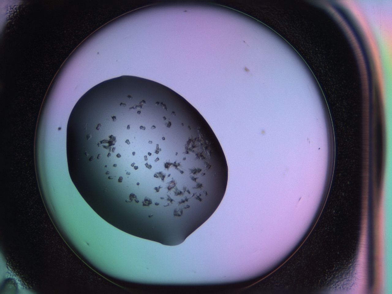 03on_E11_ImagerDefaults_6.jpg