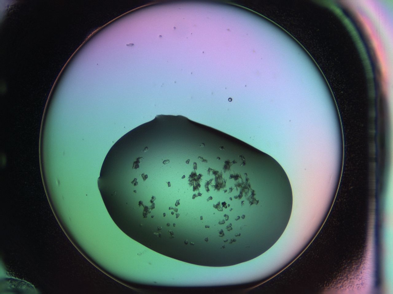 03on_E12_ImagerDefaults_6.jpg