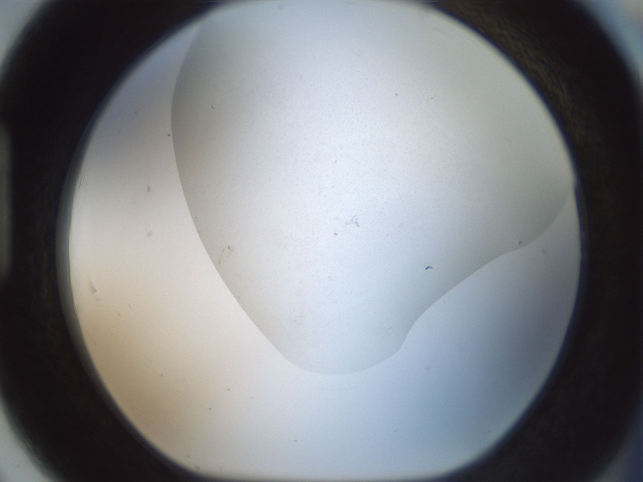 folderID701_plateID2701_batchID14116_wellNum91_profileID1_d1_r220645_ef.jpg