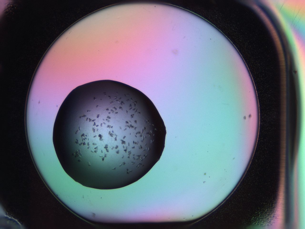 03on_F10_ImagerDefaults_6.jpg
