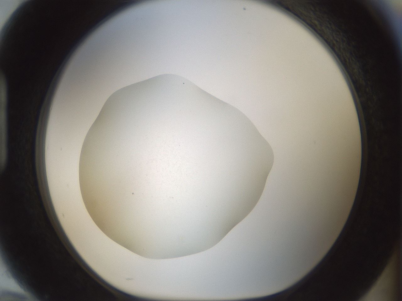 folderID703_plateID2703_batchID14112_wellNum94_profileID1_d1_r220264_ef.jpg
