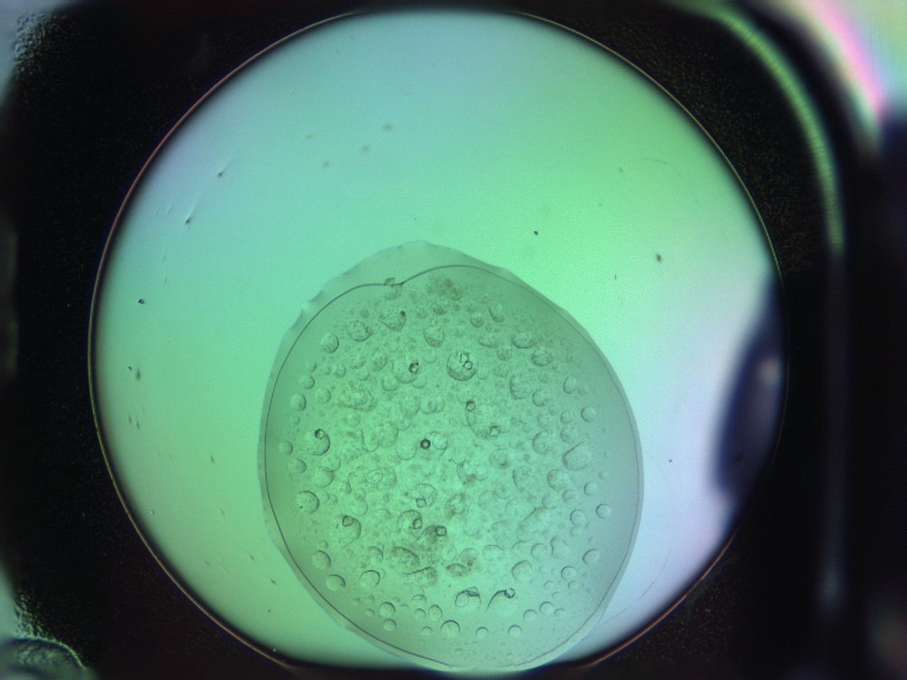 03oo_B12_ImagerDefaults_9.jpg