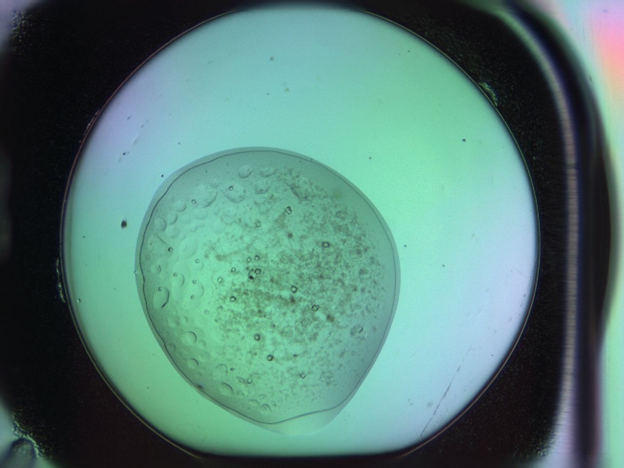 03oo_B11_ImagerDefaults_9.jpg