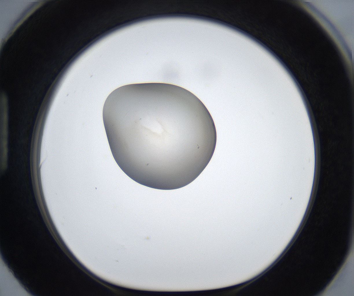 folderID709_plateID2709_batchID14160_wellNum90_profileID1_d1_r221220_ef.jpg