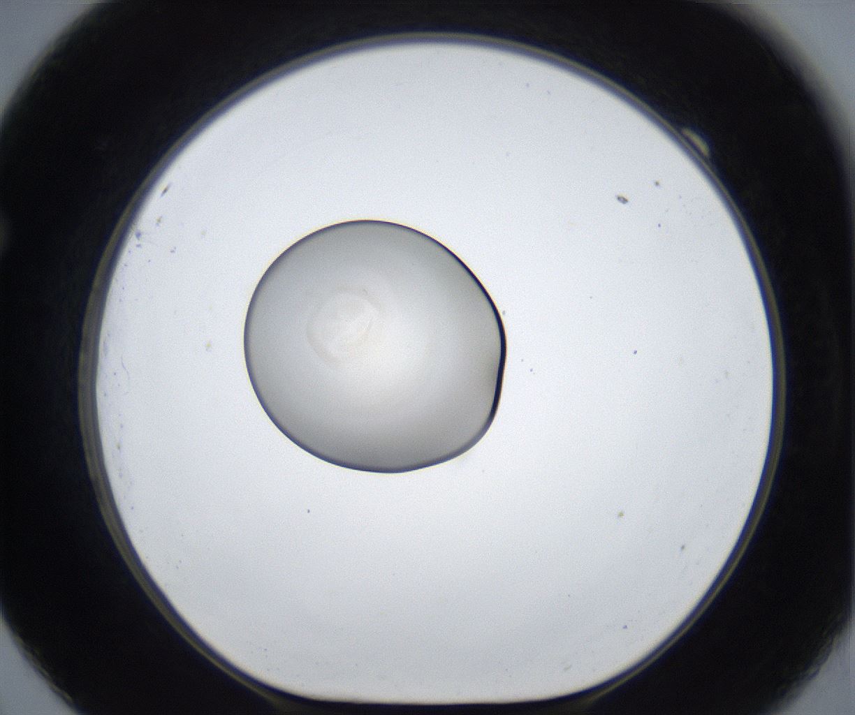 folderID707_plateID2707_batchID14157_wellNum69_profileID1_d1_r221103_ef.jpg