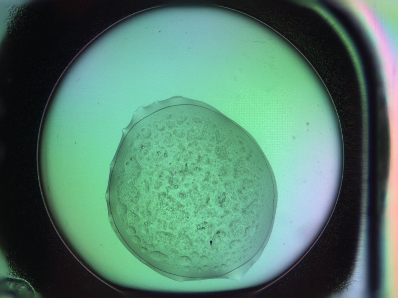 03oo_C12_ImagerDefaults_9.jpg
