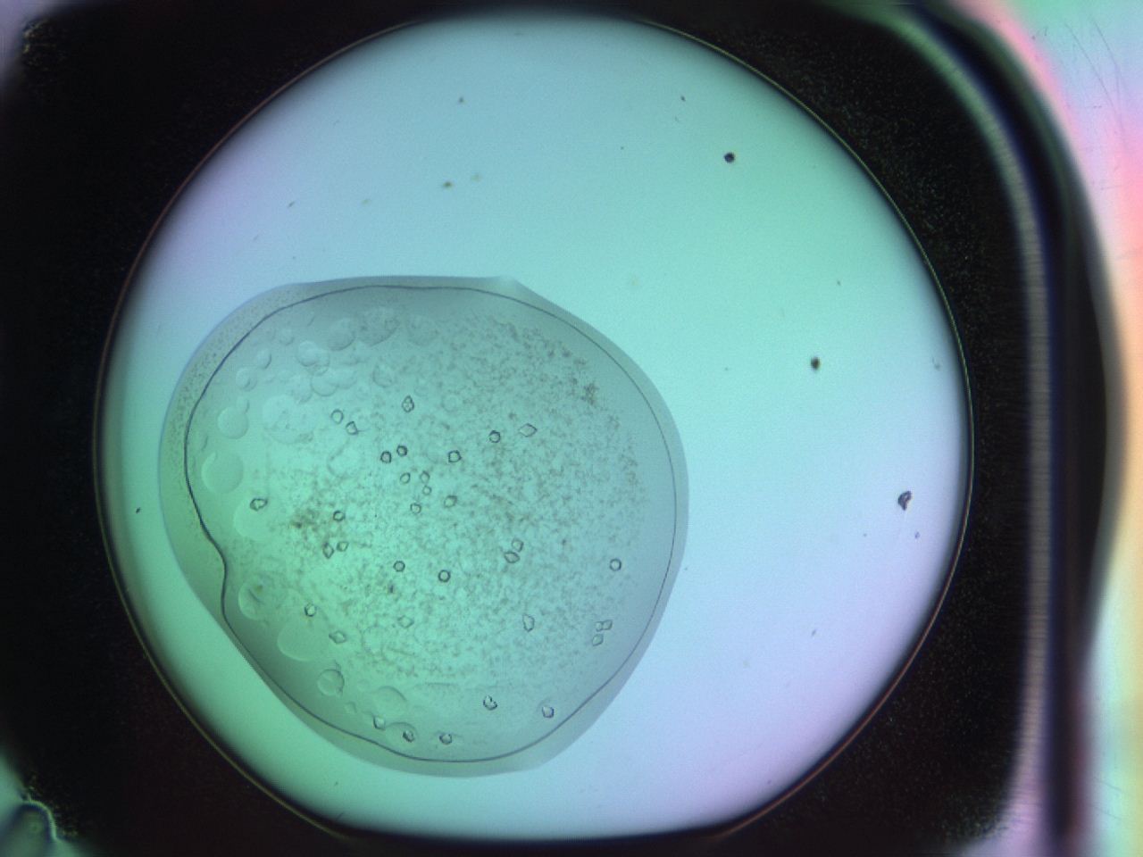 03oo_D11_ImagerDefaults_9.jpg