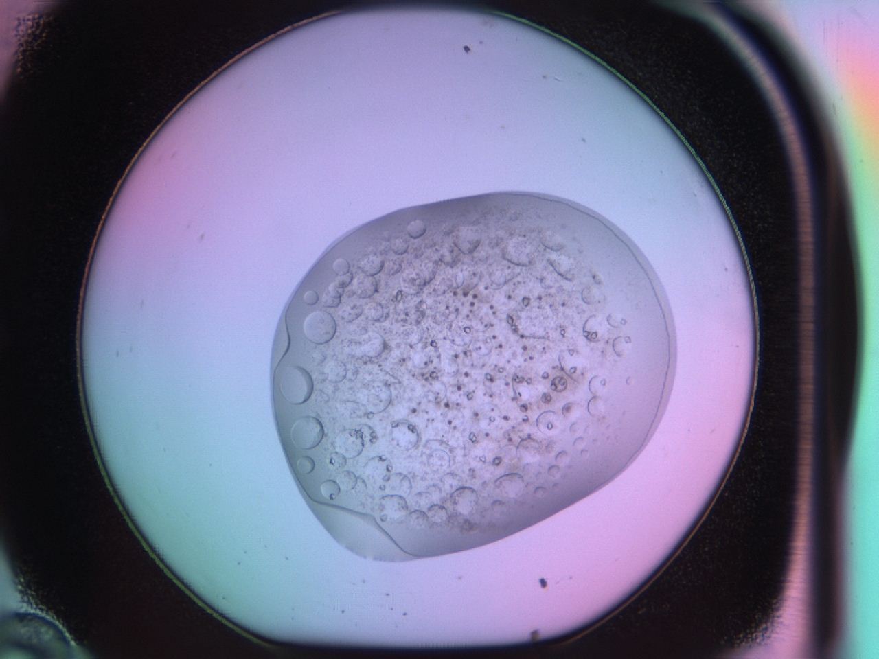 03op_C10_ImagerDefaults_9.jpg