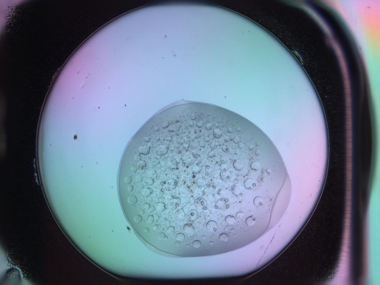 03op_B11_ImagerDefaults_9.jpg