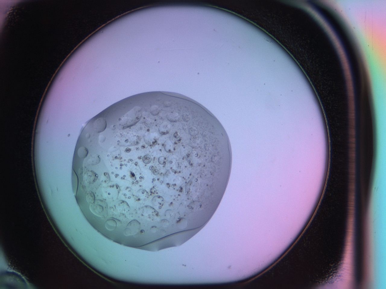 03op_D10_ImagerDefaults_9.jpg
