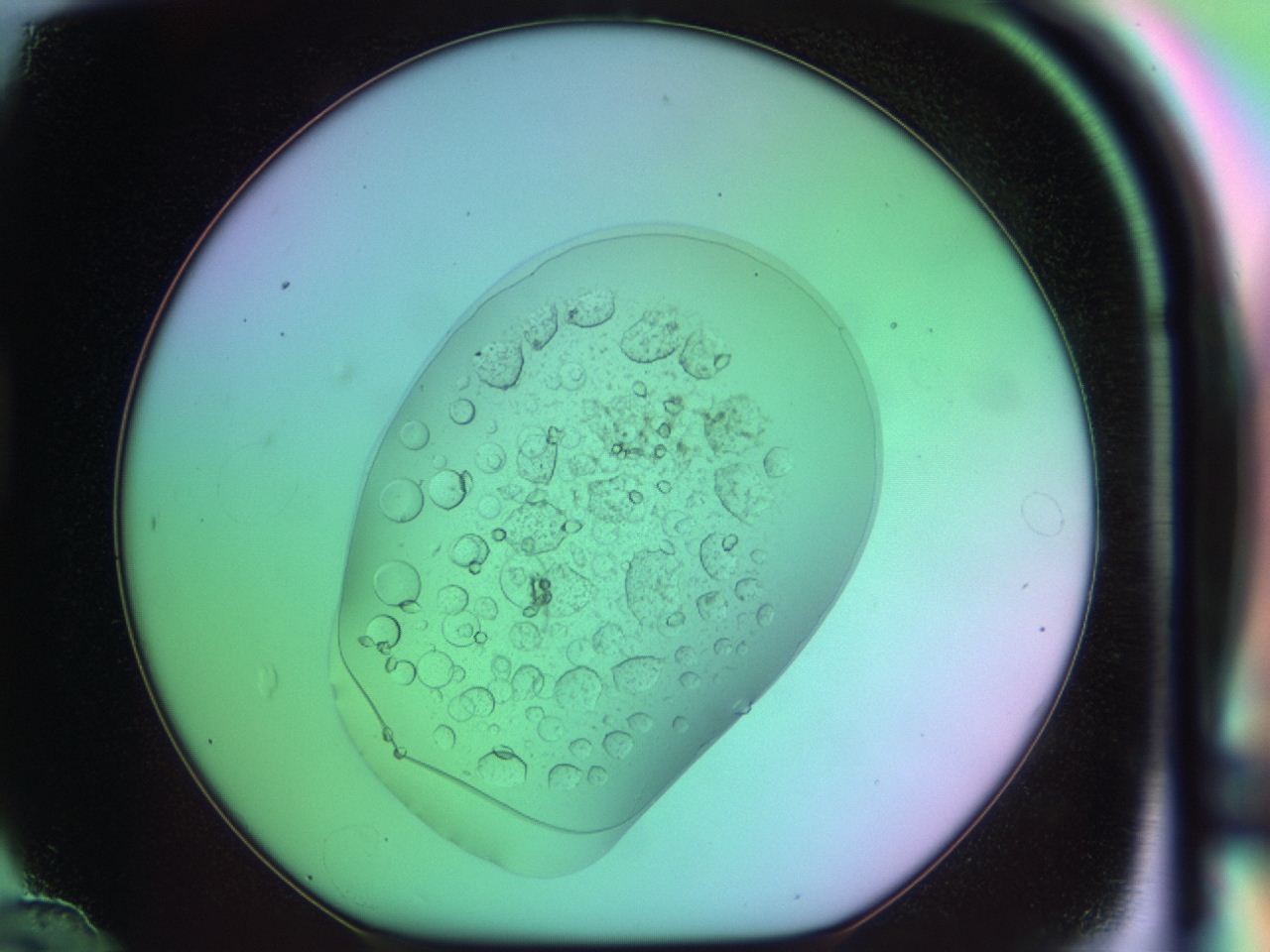 03op_D12_ImagerDefaults_9.jpg
