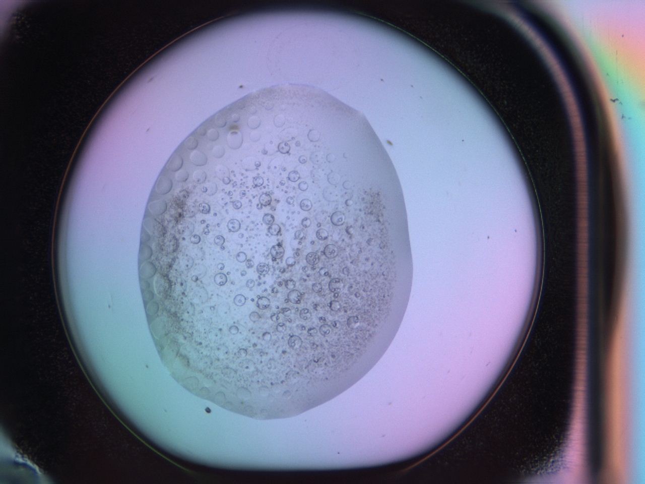 03op_E10_ImagerDefaults_9.jpg