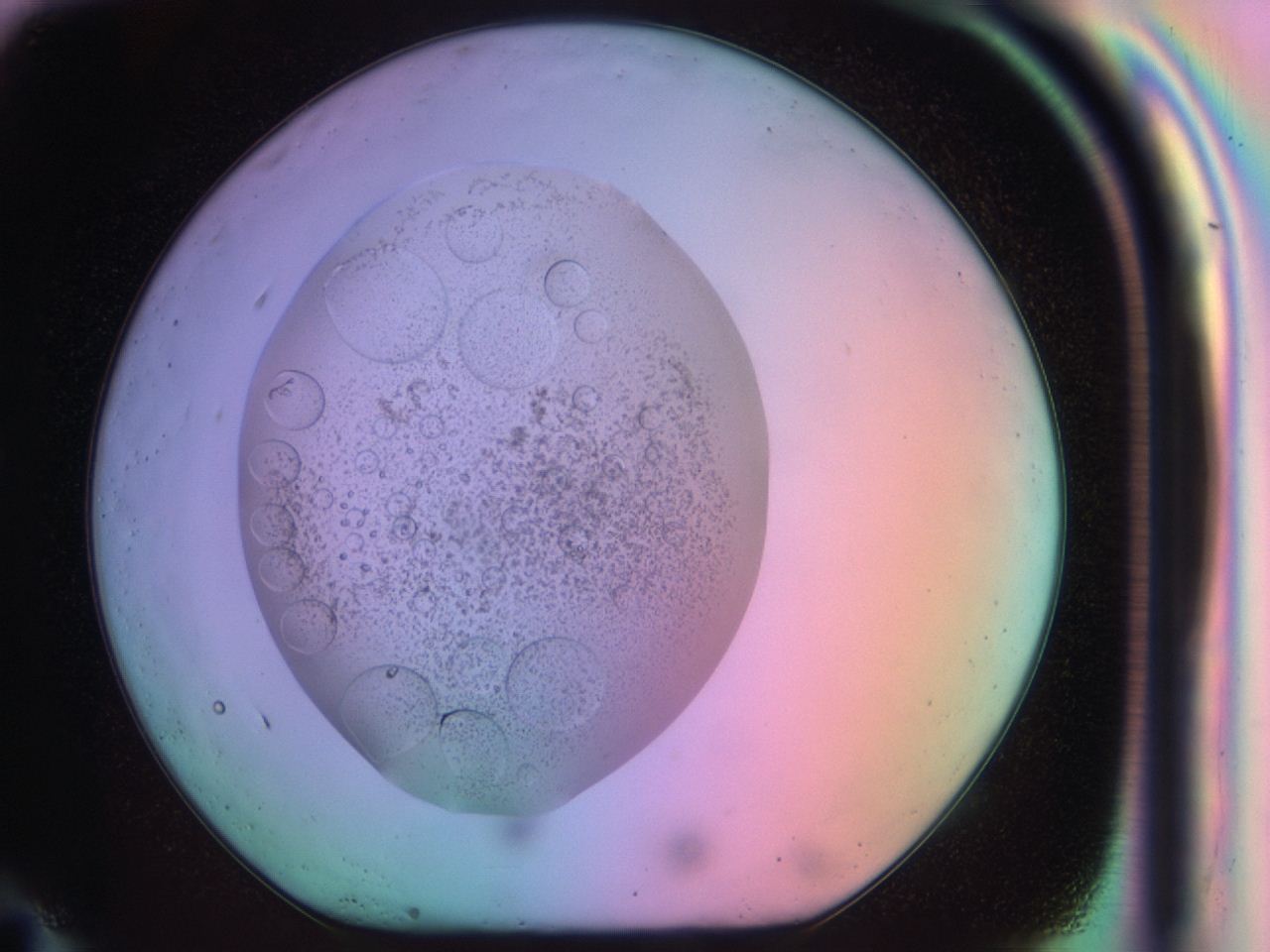 03op_G11_ImagerDefaults_9.jpg