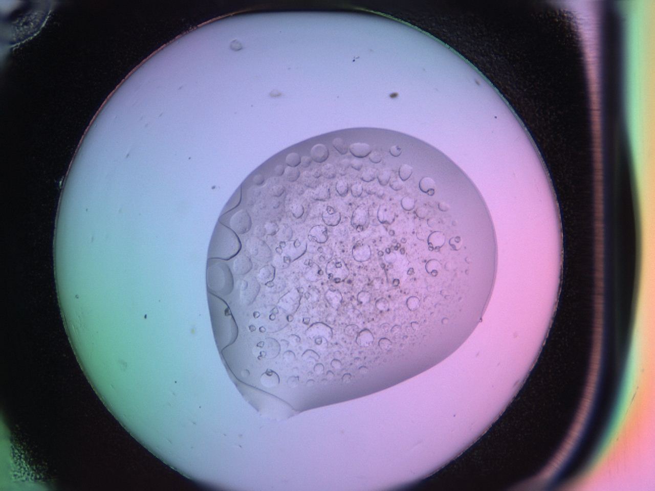 03oq_C10_ImagerDefaults_9.jpg