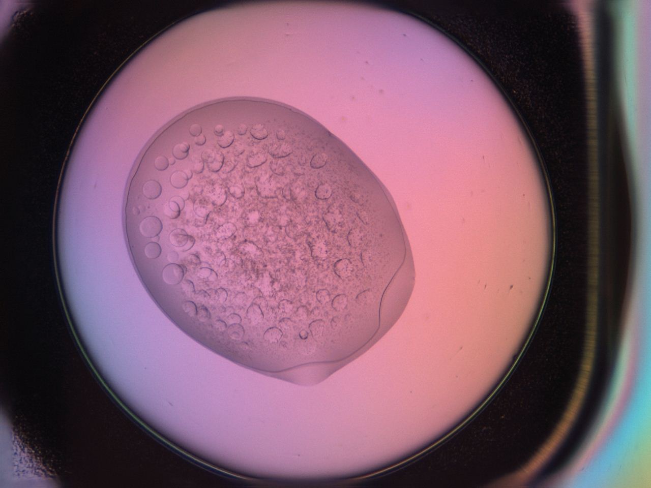 03oq_D3_ImagerDefaults_9.jpg