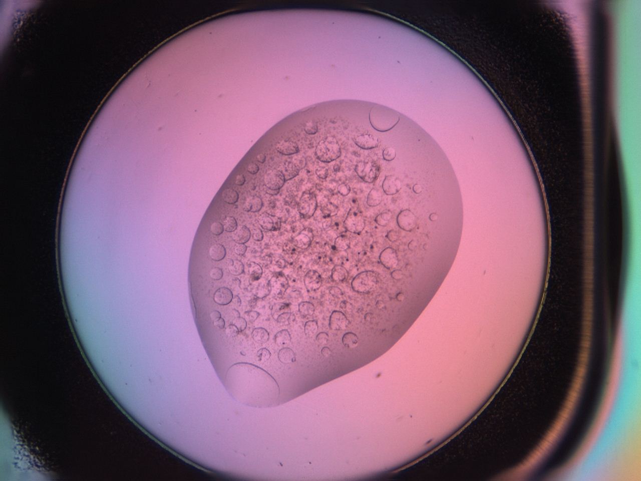 03oq_C8_ImagerDefaults_9.jpg
